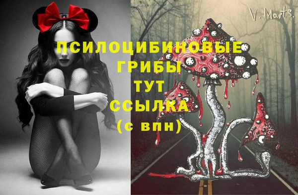 трава Беломорск
