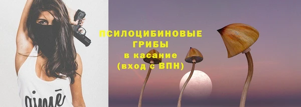 спайс Ельня